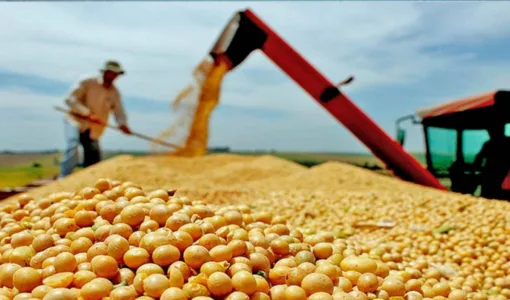 Produtor Rural! Está sofrendo com a safra devido as condições climáticas? Confira seus direitos: