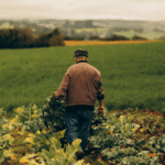 Câmara aprova mudança importante para agricultores e segurados especiais! 1 Design sem nome 3