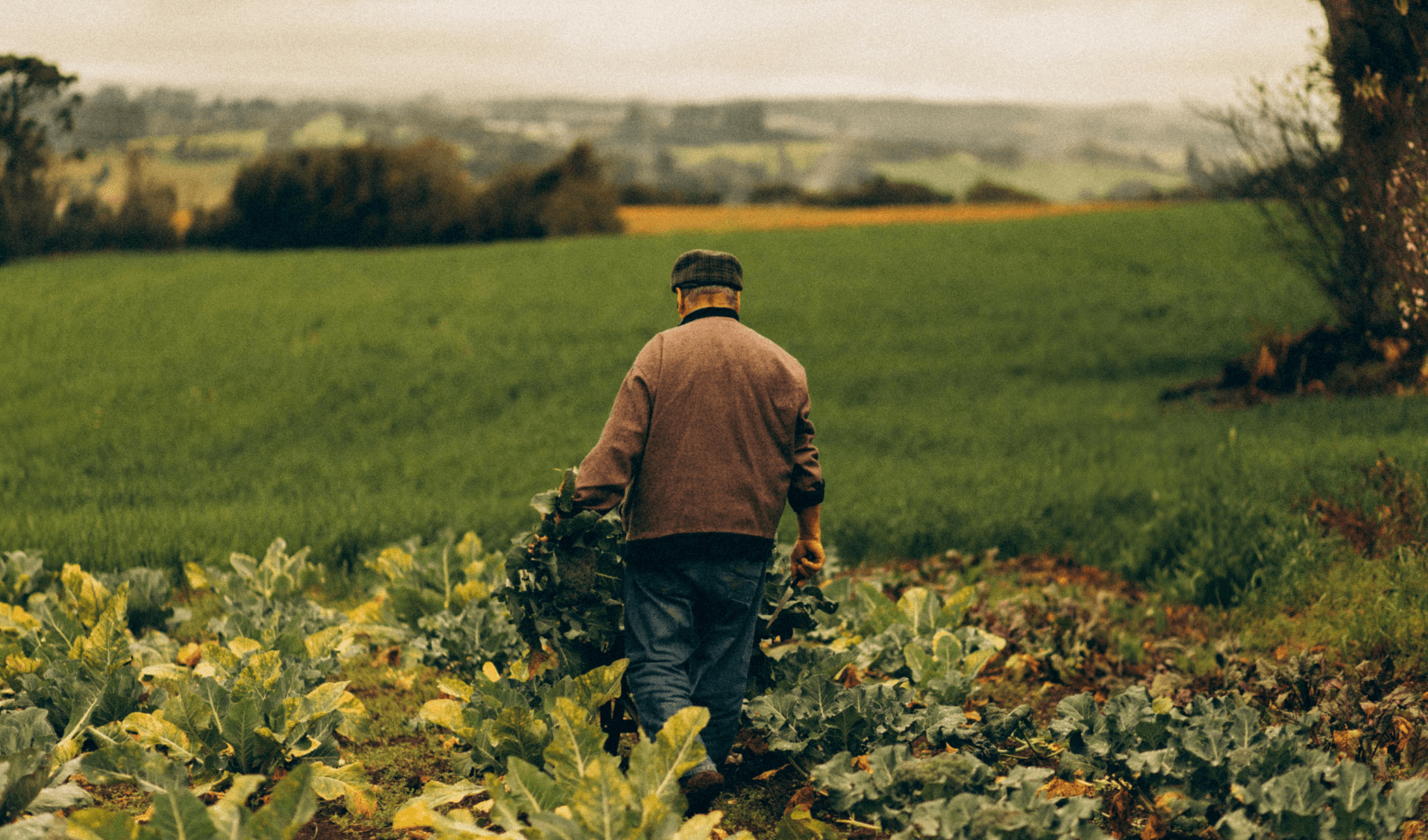 Câmara aprova mudança importante para agricultores e segurados especiais!
