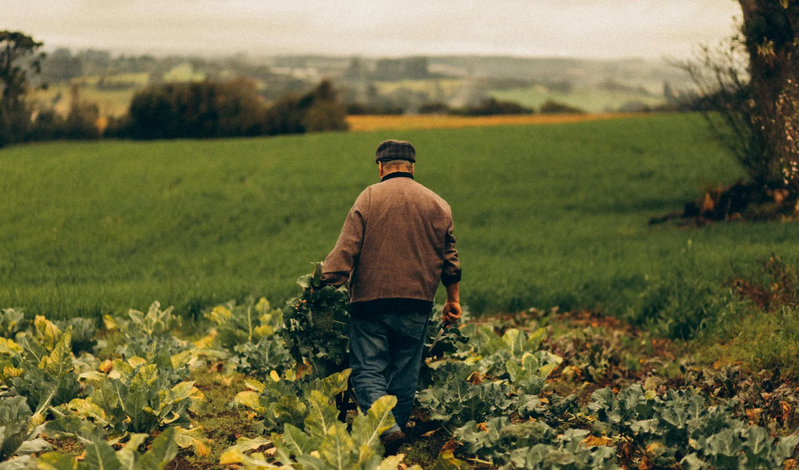 Câmara aprova mudança importante para agricultores e segurados especiais!